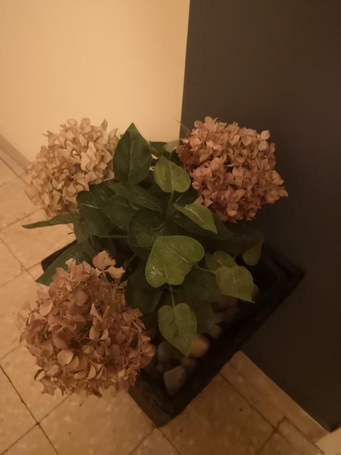Apartman Mera Apartment ซาดาร์ ภายนอก รูปภาพ